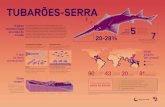 TUBARÕES-SERRA · TUBARÕES-SERRA O peixe marinho mais em risco do mundo Os tubarões-serra fazem parte de um grupo reduzido de raias, que se assemelham a tubarões, outrora comuns