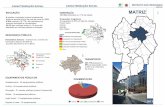 (Resumo) EDUCAÇÃO MATRIZ · Extensão territorial 3.593,19 hectares ou 8,27% do território da cidade Bairros que compõem Ahú Alto da Glória Alto da XV Batel Bigorrilho Bom Retiro