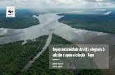 WWF-Brasil Abril, 2017 - ARPAarpa.mma.gov.br/wp-content/uploads/2018/03/apr... · conservação Sequência Metas alcançadas Número Ucs Riqueza Contribuição UC p/metas Area Total