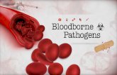 Objetivos de formación - sumter.k12.fl.us€¦ · Objetivos de formación Para provide una comprensión básica de: •Bloodborne patógenos (BBP) •Modos comunes de transmisión