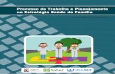 Processo de Trabalho e Planejamento na Estratégia Saúde da … · 2016-06-17 · Gomes, Rosa Maria de Lima Processo de Trabalho e Planejamento na Estratégia Saúde da Família