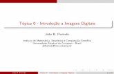 Tópico 0 - Introdução a Imagens Digitaisjbflorindo/Teaching/2018/MT530/T0_0.pdf · Uma imagem vale mais que mil palavras! Jo~ao B. Florindo T opico 0 - Introdu˘c~ao a Imagens