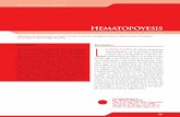 Hematopoyesis - incan-mexico.org · (TPO), ligando de la tirosina fetal 3 (FLT-3L) y el factor de células seminales (SCF) participan tam-bién en la eritropoyesis; estas citocinas