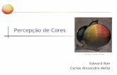 Percepção de Cores - CIncabm/visao/Aula08_PercepcaoCores.pdf · Percepção da Cor • As propriedades das cores que são distinguíveis pelo olho humano são Matiz (Hue), Saturação