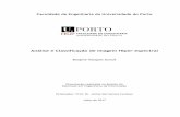 Análise e Classificação de Imagem Hiper-espectral · 2019-07-13 · Faculdade de Engenharia da Universidade do Porto Análise e Classificação de Imagem Hiper-espectral Borgine