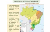 As paisagens vegetais do Brasil · Cobertura vegetal do Brasil foi bastante modificada ao longo da história Metade da vegetação original foi destruída pela ação humana Principais