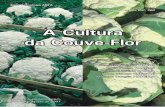 A CULTURA DA COUVE-FLOR · A flor hermafrodita possui quatro sépalas e quatro pétalas com coloração variável entre branca, creme e amarela. Os estames são em número de seis.