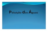 Águas do Porto - SNIRH · Águas do Porto A eutrofização das águas é um problema ambiental actual a que as águas superficiais da cidade do Porto também não conseguem escapar,