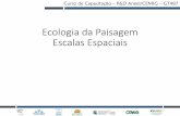 Ecologia da Paisagem Escalas Espaciaislabs.icb.ufmg.br/benthos/index_arquivos/pdfs_pagina... · •Interações entre padrões espaciais e processos ecológicos que são influenciados