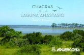 Convidamo-lo a partilhar a compra · LAGUNA JOSE IGNACIO LAGUNA GARZON a 10 Beach Club JOSE IGNACIO 4 km. 0,5 km. a 9 (3 km.) a Punta del Este 2 km. 3 km. Acceso 1 Acceso 2 ANASTASIO