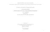 PROJECTO E TECNOLOGIASantonioarroio.pt/docs/pa/pt-11ano-prodartistica2005.pdf · • Desenvolver a criatividade no contexto da formulação de projectos. • Promover a consolidação