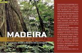 de ponta a ponta · de ponta a ponta Não é de hoje que a exploração ilegal de madeira na Amazônia chama aten-ção dos ambientalistas no Brasil e no mundo. Agora, a questão