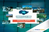 PONTA PORÃ - sebrae.com.br Sebrae/UFs... · de Ponta Porã era de 38.807 pesso-as, correspondente a 61% da popu-lação, proporção igual à média do Estado de MS. O gráfico a