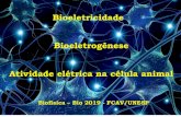 Bioeletricidade Bioeletrogênese Atividade elétrica na ... · Requisitos para o funcionamento do sistema nervoso Estruturas especializadas. Transformação de energia. Codificação
