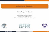 Prof.WagnerH - LEG-UFPRotimizacao.pdf · Programação não-linear Sumário 1 Programaçãonão-linear 2 MétodoGolden-SearchouBrent 3 MétododeNelder-Mead 4 Métodosbaseadosemgradiente