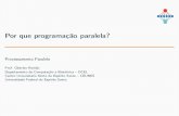 Por que programação paralela? - IME-USPoberlan/DCE11720/Aulas/Aula02.pdf · Por que programação paralela? ProcessamentoParalelo Prof. OberlanRomão DepartamentodeComputaçãoeEletrônica–DCEL