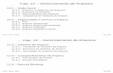 Cap. 12 – Gerenciamento de Arquivosfaina/BCC_Crs/GSI018-2014-1S/DL/ch-12.pdf · de programas utilitários do sistema operacional que executam como aplicações com privilégios.