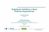 Regulação Sanitária e Boas Práticas Regulatórias · 2015-09-04 · Agência Nacional de Vigilância Sanitária 3 de setembro de 2015 Regulação Sanitária e Boas Práticas Regulatórias