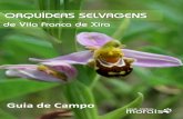 ORQUÍDEAS SELVAGENS · 2018-04-29 · Guia de Campo . O Labelo Uma flor de orquídea possui 6 peças florais (3 sépalas e 3 pétalas), apresentando uma simetria bilateral (flores