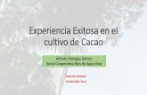 Experiencia Exitosa en el cultivo de Cacao - Rikolto€¦ · Experiencia Exitosa en el cultivo de Cacao RANCHO GRANDE NOVIEMBRE 2016 Alfredo Vanegas Gómez Socio Cooperativa Ríos