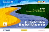 Hidrelétrico Belo Monte - Greenpeace Brasil · sobre o AHE Belo Monte, das mudanças no projeto de engenharia, do que é preciso para construir a usina e tantas outras coisas, vamos