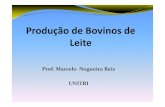 Prof. Marcelo Nogueira Reis UNITRI...exigências para produção de 3 a 6 litros de leite. Parto Próximo ao parto as vacas ficam inquietas, param de comer e se afastam do rebanho