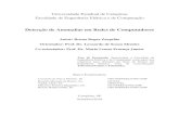 Detecção de Anomalias em Redes de Computadorestaurus.unicamp.br/bitstream/REPOSIP/260952/1/Zarpelao... · 2018-08-16 · Detecção de anomalias em redes de computadores / Bruno
