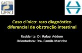 Caso clínico: raro diagnóstico diferencial de obstrução intestinaldownload.hucff.ufrj.br/Gastroenterologia/Sessoes/PSEUDO... · 2018-10-29 · Caso clínico 2013 •Aumento da