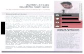 CPC Nacionalcpc.org.mx/wp-content/uploads/2017/05/4.-Curriculum-vitae-compres… · Julián Jesús Cudiño Galindo Cronología de Principales Estudios ALTA DIRECCIÓN MULTIDISCIPLINARIA
