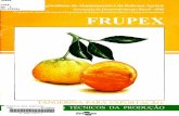 Frupex – Tangerina para Exportaçãoainfo.cnptia.embrapa.br/digital/bitstream/item/181342/1/... · 2018-08-14 · tangor 'Murcott' 35%, a 'Cravo' 16% e a 'Mexerica do !tio' 8% (Pio,