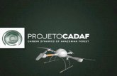 The use of quad-copter drone in Utilizando um quadricópterocadaf.inpa.gov.br/files/apresentacoesseminario/11_Carlos_celes_CA… · The use of quad-copter drone in obtaining remote