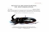 REVISTA NICARAGUENSE DE ENTOMOLOGIARevista Nicaragüense de Entomología. Número 191. 2020. Página 2 La Revista Nicaragüense de Entomología (ISSN 1021-0296) es una publicación