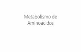 Metabolismo de Aminoácidos · 2017-11-14 · Catabolismo de Aminoácidos As transaminases equilibram os grupos amina entre os α-cetoácidos disponíveis Isto permite a síntese