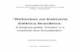 “Reformas na Indústria Elétrica Brasileira€¦ · ii. iii Gonçalves, Dorival Junior “Reformas na Indústria Elétrica Brasileira: A Disputa pelas ‘Fontes’ e o Controle