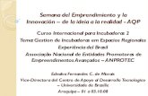 Innovación – de la ideia a la realidad - AQPperuincuba.net/portal/pdfs/2008/2.pdf · San muchos los sistemas y mecanismos Objetivo: induzir la creación de empresas competitivas