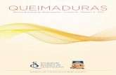 QUEIMADURASrbqueimaduras.org.br/content/imagebank/pdf/v14n4.pdf · 251 Rev Bras Queimaduras. 2015;14(4):251-2 A pesquisa básica e suas contribuições no tratamento do paciente queimado