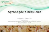 Agronegócio brasileiro - WordPress.com · A participação do agronegócio na economia brasileira é evidente. A seguir temos alguns números sobre a participação do PIB da pecuária