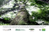 Redução!das!emissões!de!carbono!do!desmatamento!no!Brasil:! …arpa.mma.gov.br/wp-content/uploads/2012/09/reduodasE... · 2017-09-28 · 1 REDUÇÃO(DAS(EMISSÕES(DECARBONO(DO(DESMATAMENTO(NO(BRASIL:((