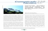 Comunicado220 Técnico - Embrapa€¦ · 2 Caracterização Morfológica Foliar de Oenocarpus Mart. (Arecaceae) Oriundo da Comunidade Quilombola de Baixinha, Município de Baião,