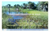 PROGRAMA PRODUTOR DE ÁGUA NO GUARIROBAd3nehc6yl9qzo4.cloudfront.net/downloads/programa...Programa Produtor de Água É um programa voluntário no qual são beneficiados produtores