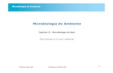 Microbiologia do Ambiente - ULisboamaloucao/Aula 3.pdf · MA Martins-Loução, 2006 Microbiologia do Ambiente, 2006 Microbiologia do Ambiente Benefícios da complexidade das cadeias
