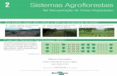 sistemas agroflorestais - COnnecting REpositories · Sistemas Agroflorestais Na Recuperação de Áreas Degradadas 2 São sistemas tradicionais que imitam a natureza, associando em