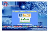 Projeto Norte Competitivoarquivos.portaldaindustria.com.br/app/conteudo_13/... · Com base em todas estas informações, pôde-se criar um mapa de todas as vias utilizadas para o