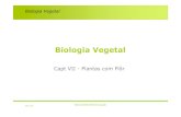 Biologia Vegetal - ULisboamaloucao/Aula 22BV.pdf · Biologia Vegetal Conceitos a reter •Qual é a base química da côr das flores •A variação de côr entre as antocianinas.
