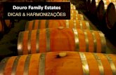 Douro Family Estates - Cave D'or · A HISTÓRIA Douro Family Estates, DFE, é uma associação, criada em 2007, formada por quatro famílias produtoras de vinhos de quinta, no vale