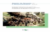 Boletim de Pesquisa 16 e Desenvolvimento ISSN 1981-1004 ...€¦ · Avaliação da Presença de Lagartas de Grapholita molesta (Lepidoptera: Tortricidae) em Burrknots de Macieira