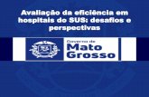 Avaliação da eficiência em hospitais do SUS: desafios e … · 2019-12-04 · • Importância da Análise Envoltória de Dados para a avaliação da eficiência relativa de hospitais