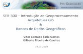 SER-300 – Introdução ao Geoprocessamento Arquitetura GIS ...€¦ · SER-300 – Introdução ao Geoprocessamento Arquitetura GIS & Bancos de Dados Geográficos Vitor Conrado