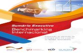 Sumário Executivo Benchmarking Internacional Audit Renew Energies... · Expansão da geração de energia elétrica a partir de fontes renováveis Sumário Executivo Benchmarking