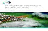 Os impactos do rompimento da Barragem de Fundão · 2020-04-24 · Como a maioria das bacias hidrográficas do mundo, o Rio Doce enfrenta cada vez mais desafios ligados à pressão